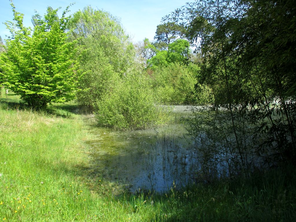 Le Jardin buissonnier, Saint-Martin-de-Seignanx - photo 9