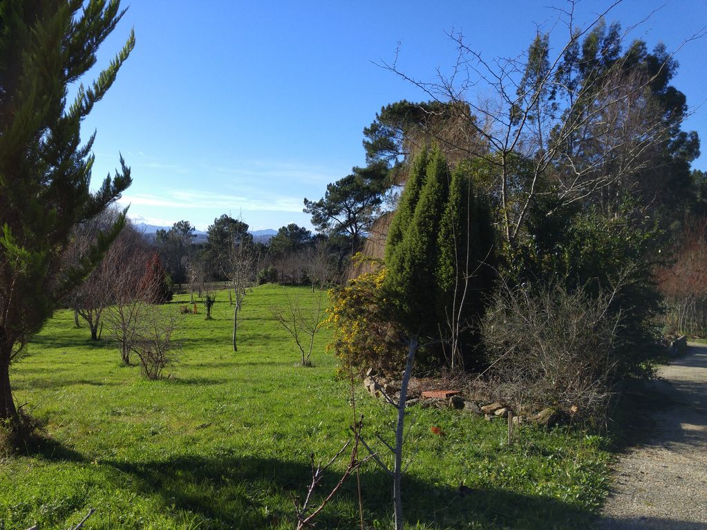 Le Jardin buissonnier, Saint-Martin-de-Seignanx - photo 6