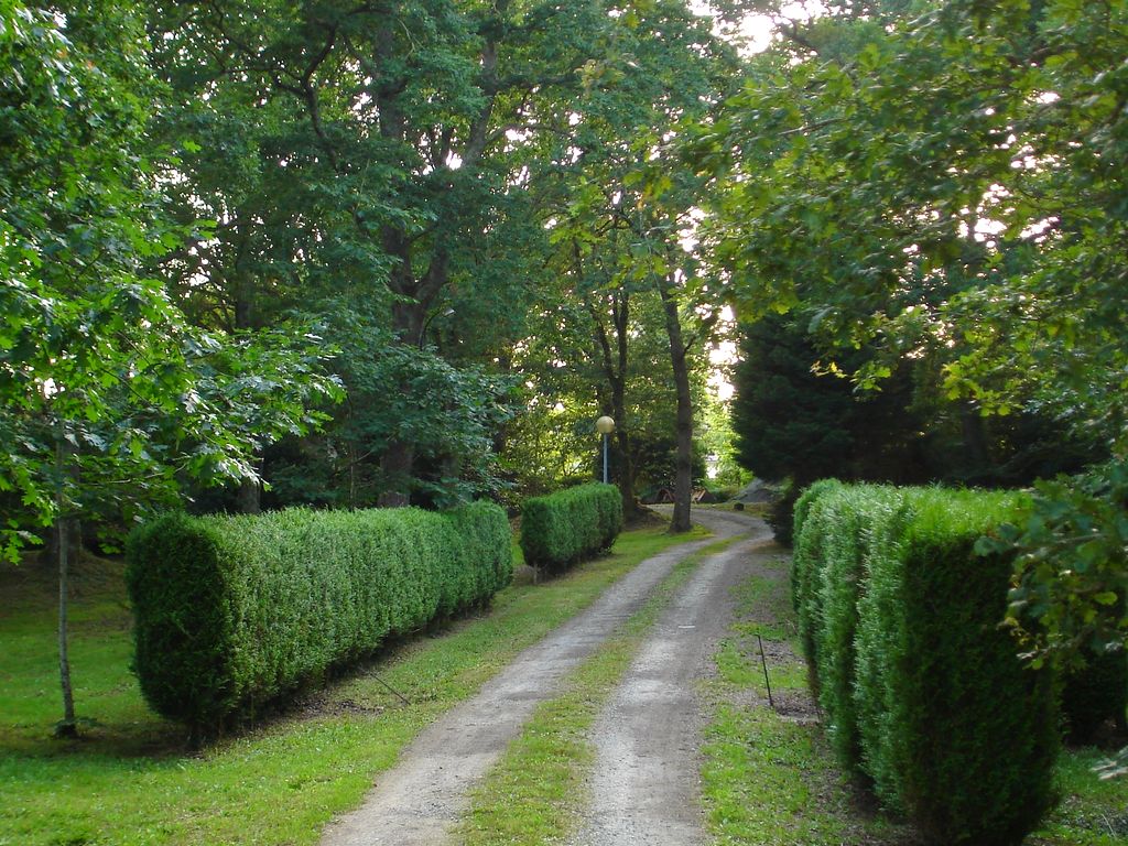 Ducasse - Aire naturelle - photo 4