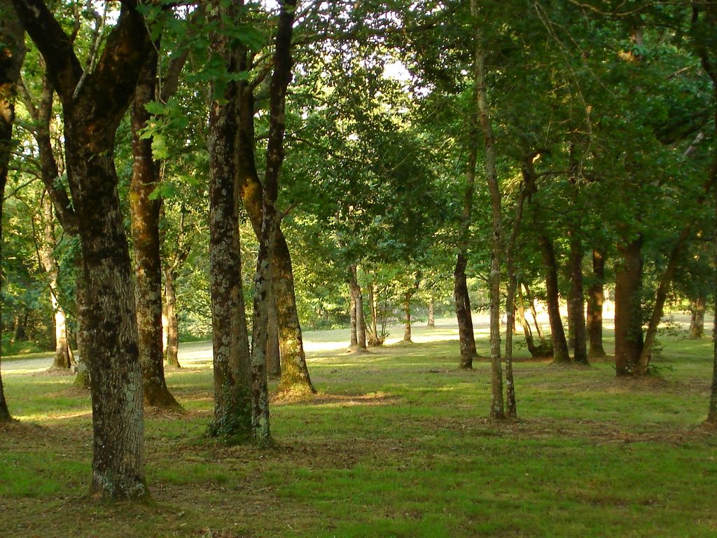 Ducasse - Aire naturelle