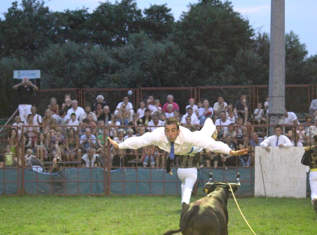 Courses de vaches landaises, Ondres - photo 3
