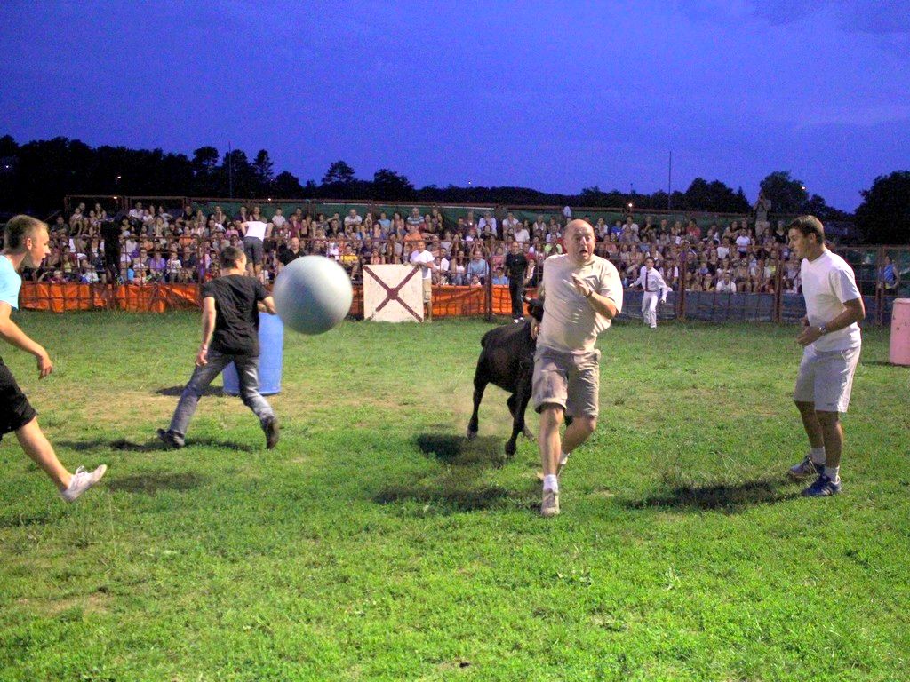 Courses de vaches landaises, Ondres