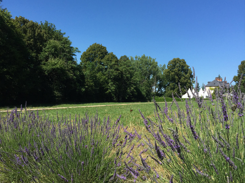Domaine de Tabary - Le Pigeonnier - photo 2