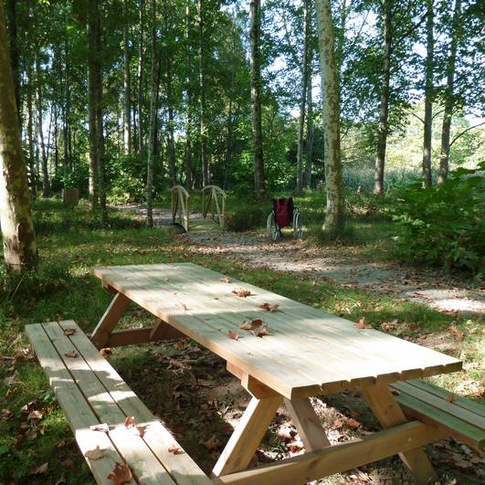 Balade à Roulettes n°22 Le bois de la ville à Saint-Palais - photo 3