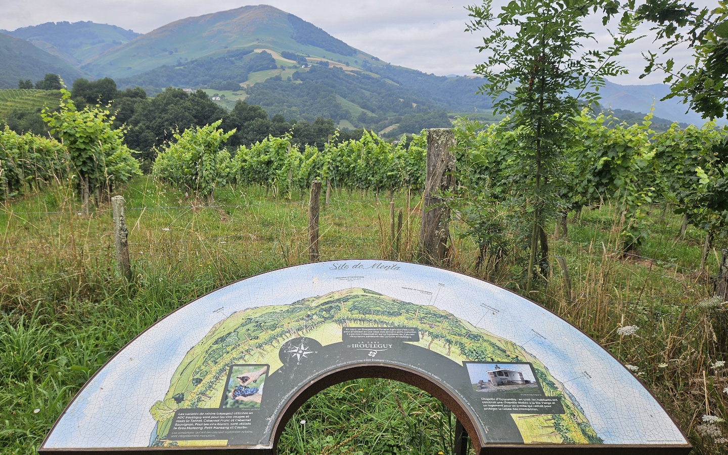 Table d'orientation Menta