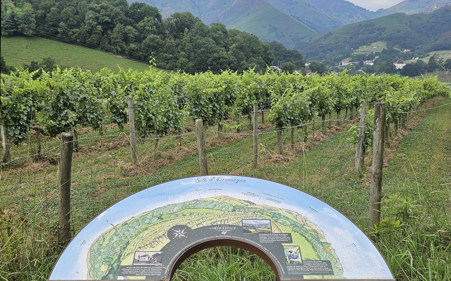 Table d'orientation Oronozia