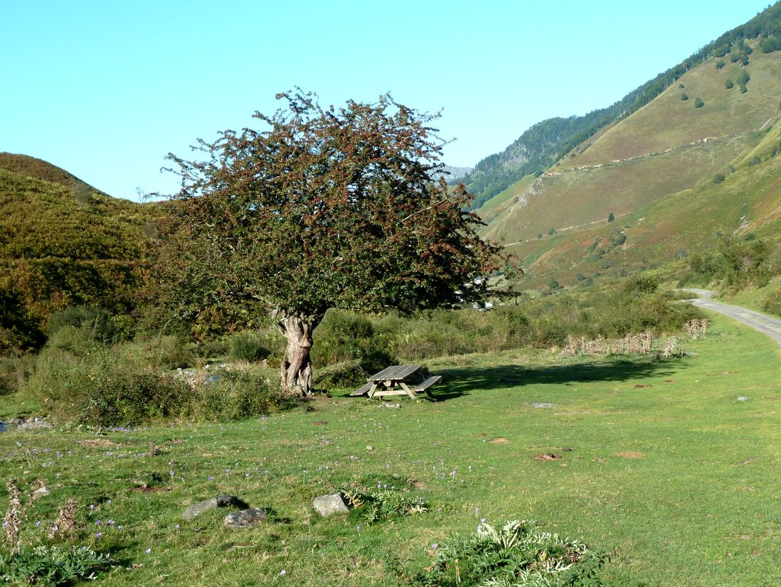 Balade à Roulettes n°27 Le plateau de Lhers à Lescun, Lescun - photo 3