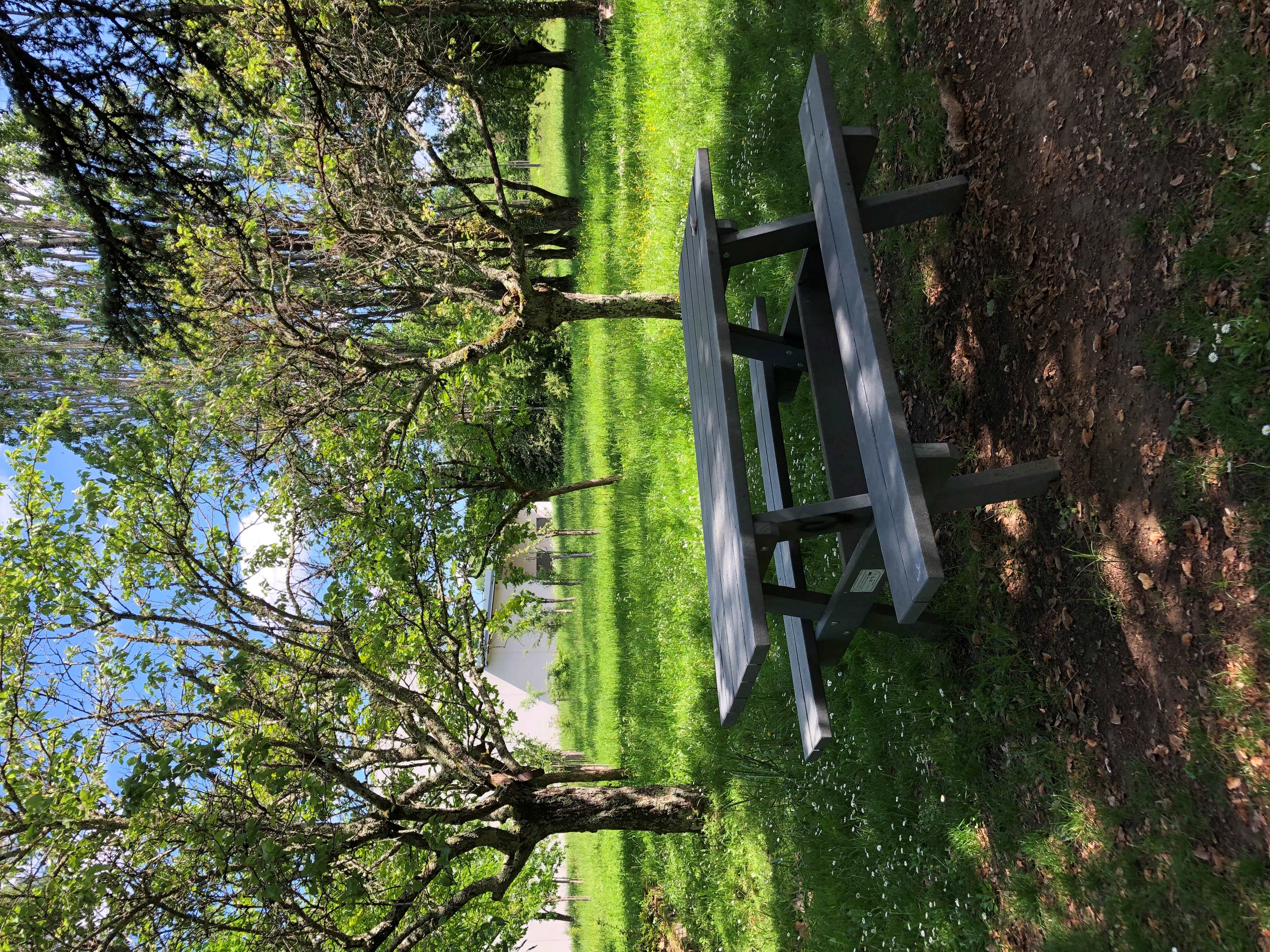 Aire de pique-nique du Parc Marès