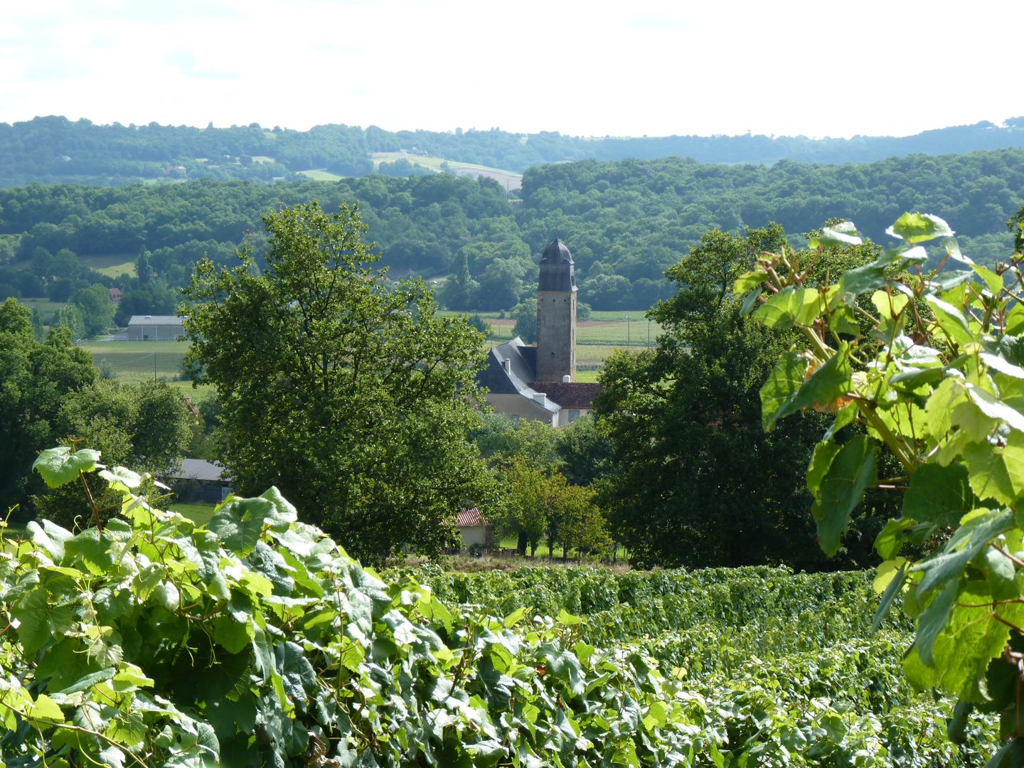 Église Assomption-de-la-Bienheureuse-Vierge-Marie, Taron-Sadirac-Viellenave - photo 12
