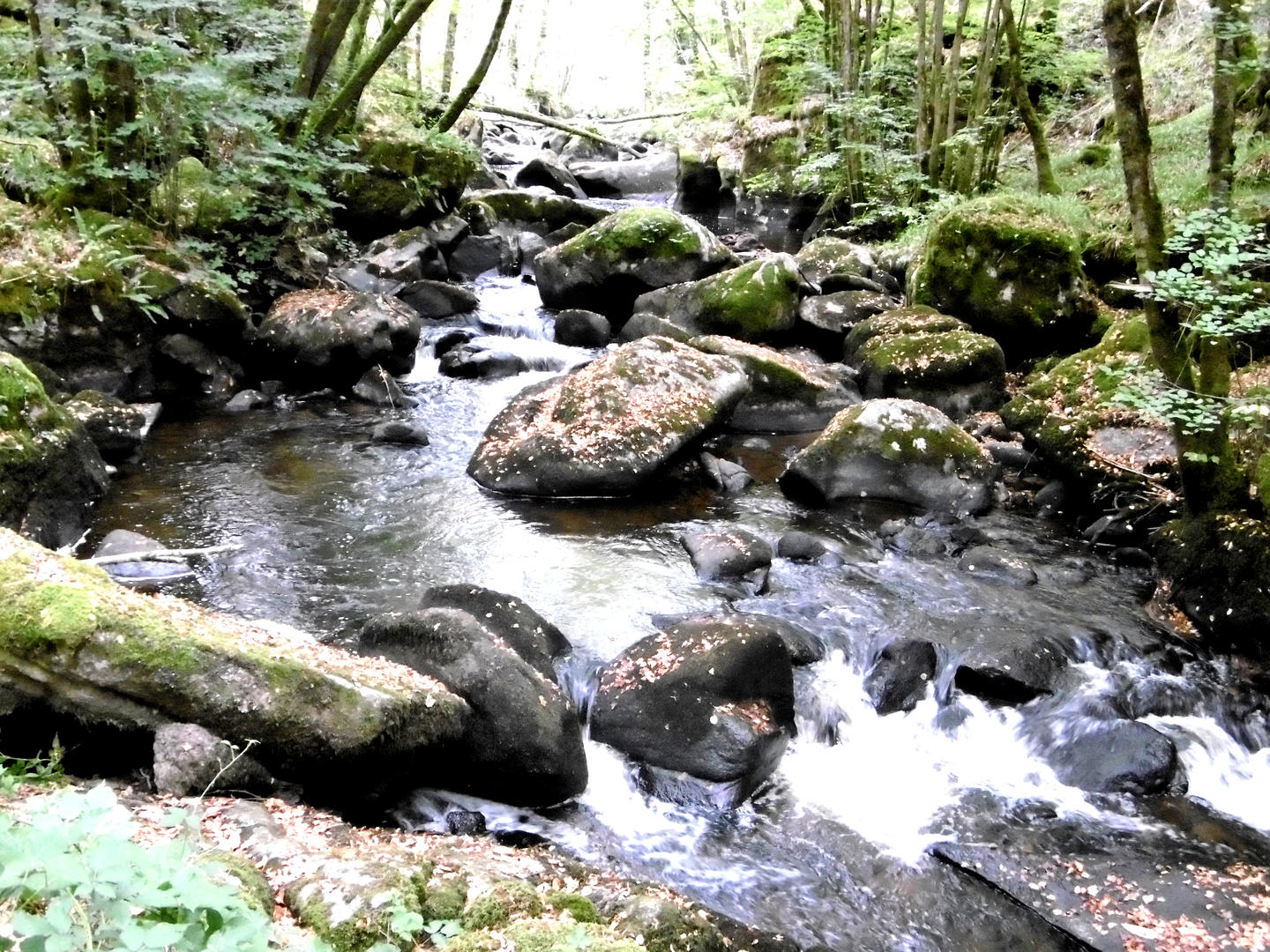 Le Trou de Philippou, Saint-Saud-Lacoussière - photo 7