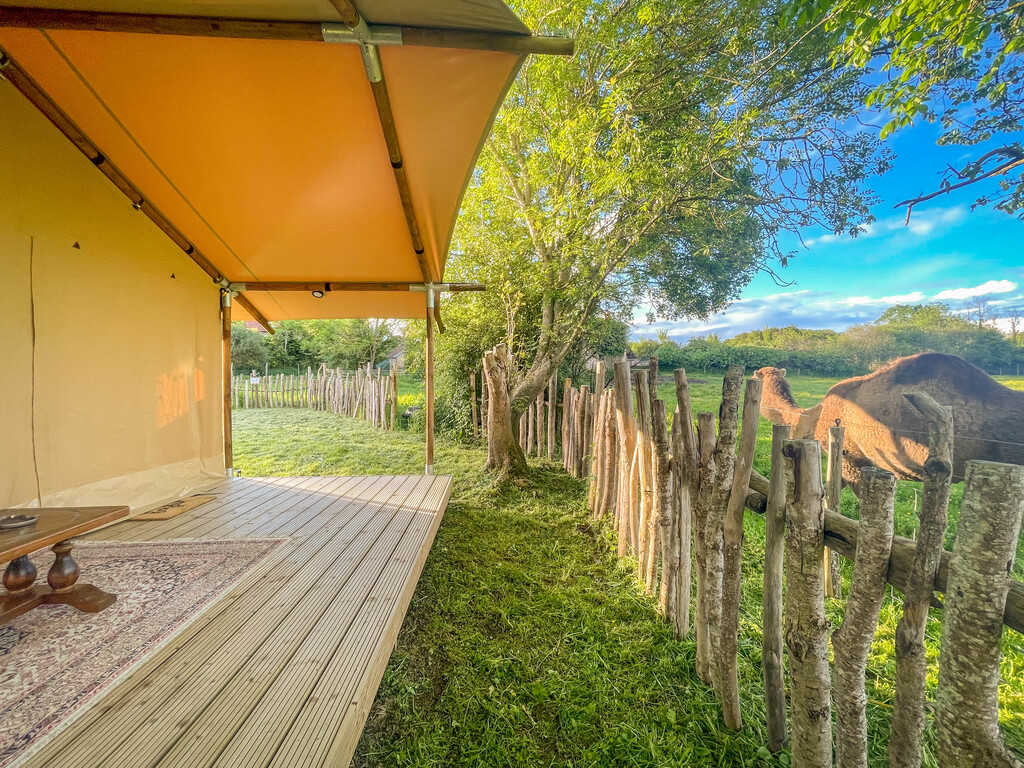 La tente Berbère du Parc animalier des Clautres, Bord-Saint-Georges - photo 13