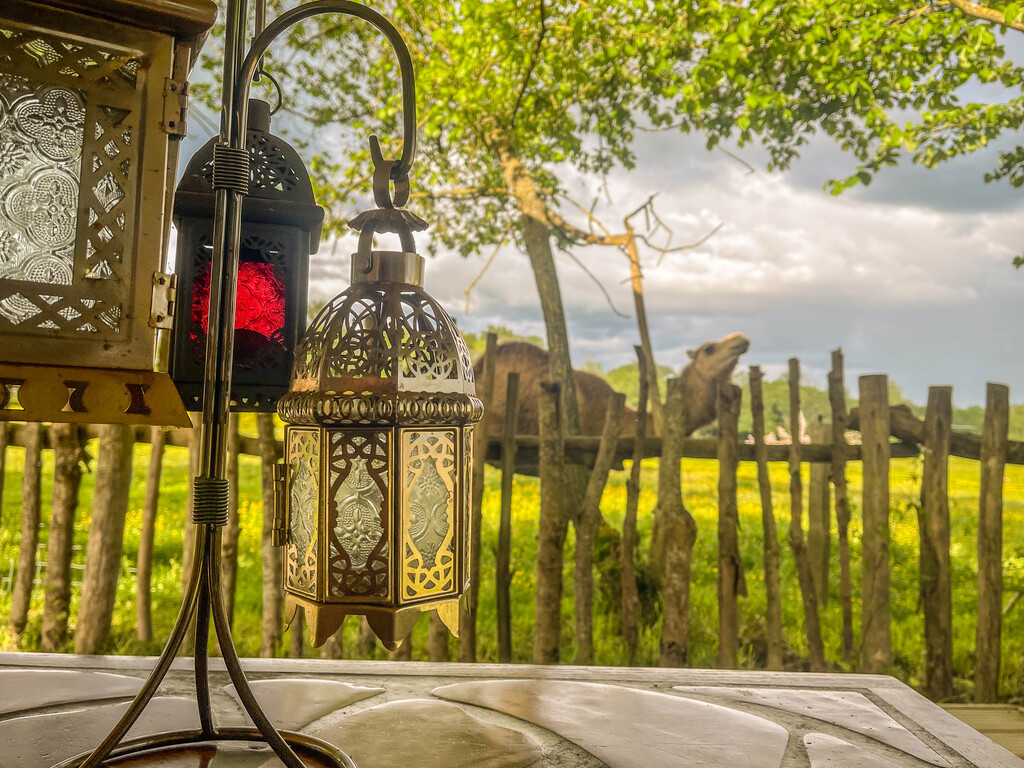 La tente Berbère du Parc animalier des Clautres, Bord-Saint-Georges - photo 5