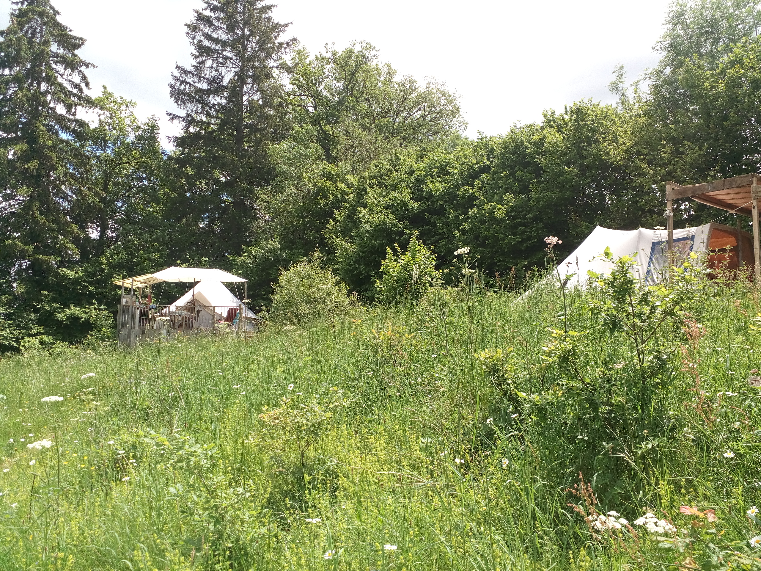 Chapeau de Soleil - photo 3