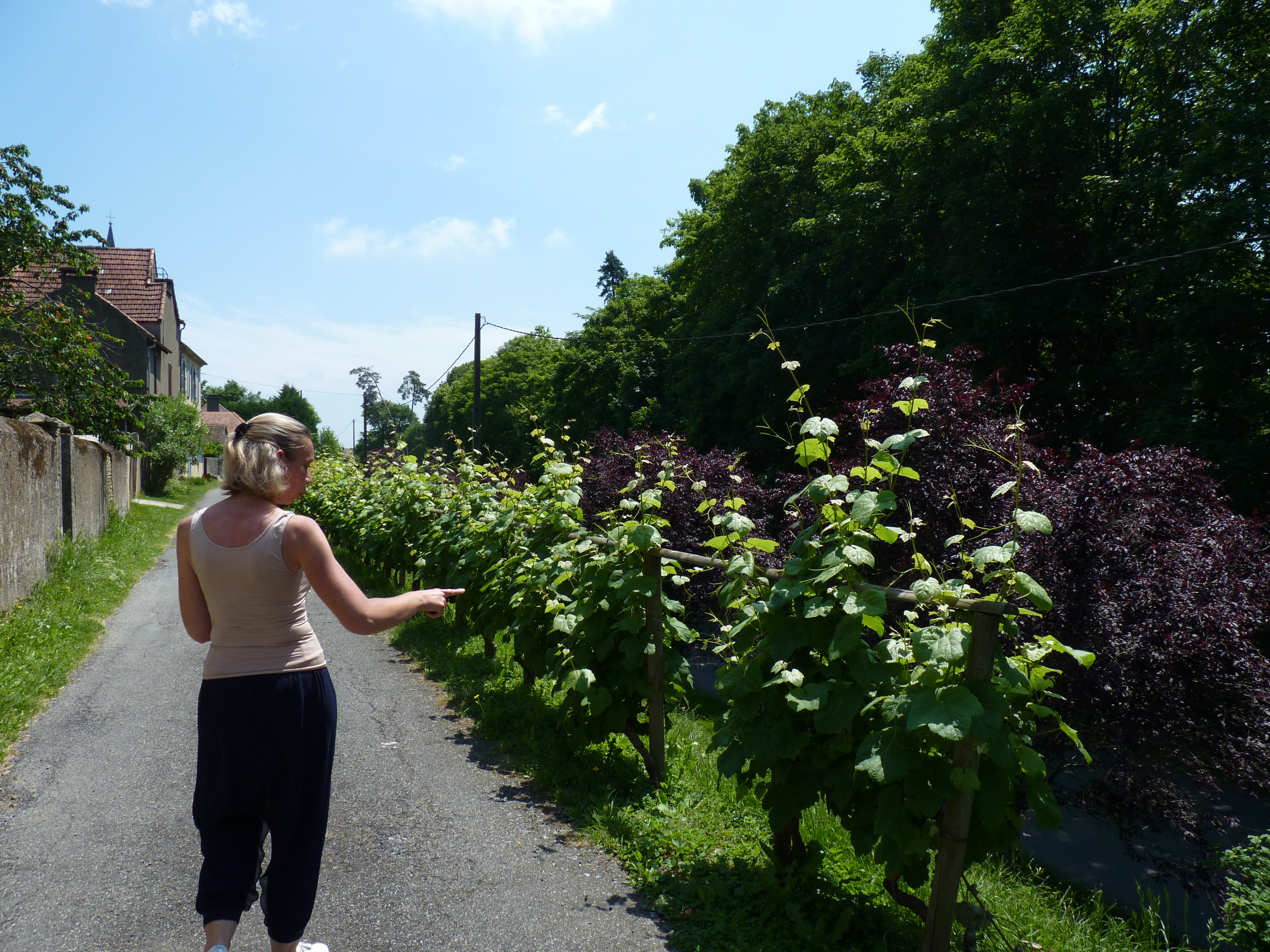 Tèrra Aventura : Viens donc faire un tour à Lembeye - photo 3