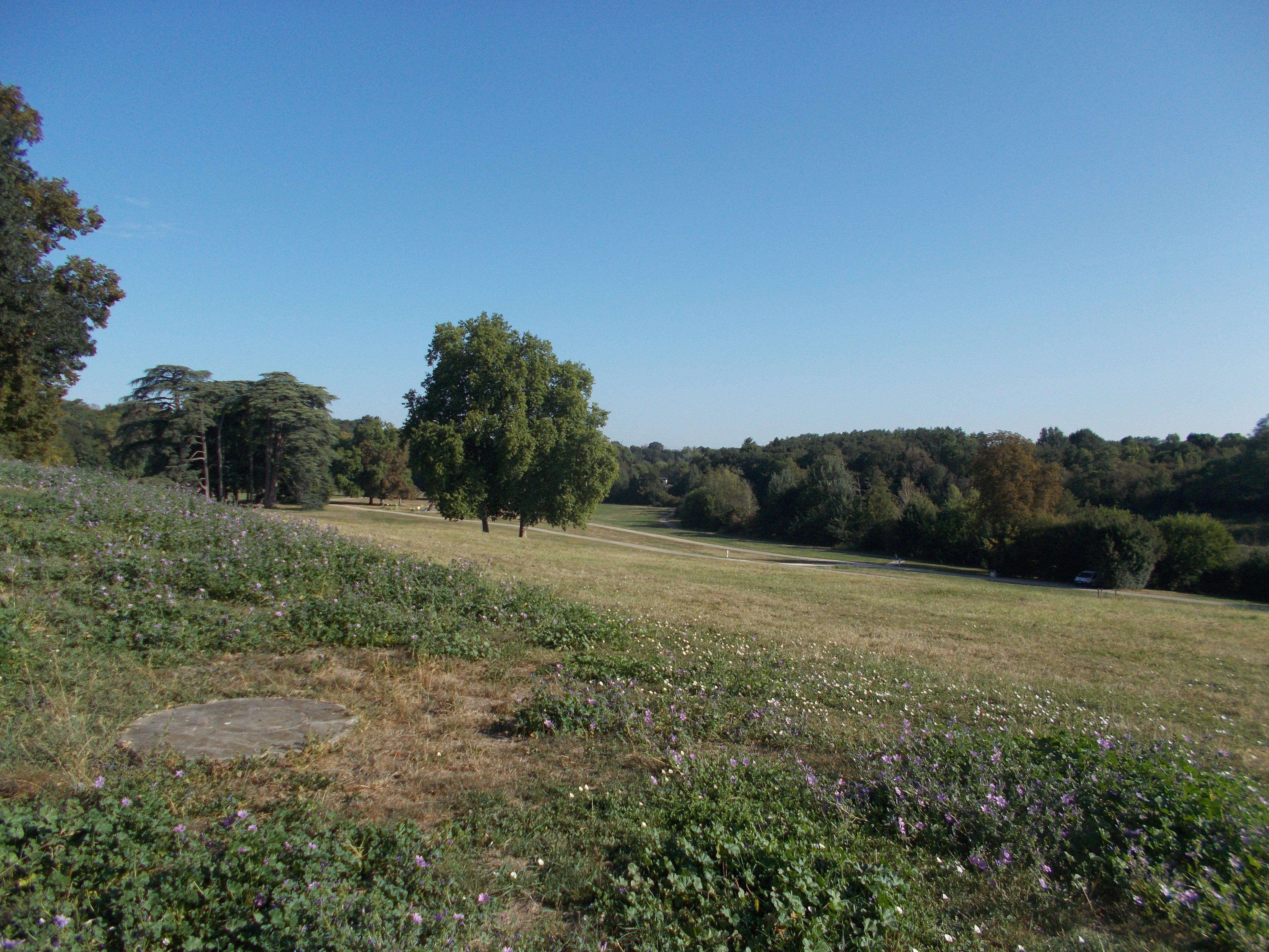 Prairie de Soulièvres, Airvault - photo 7