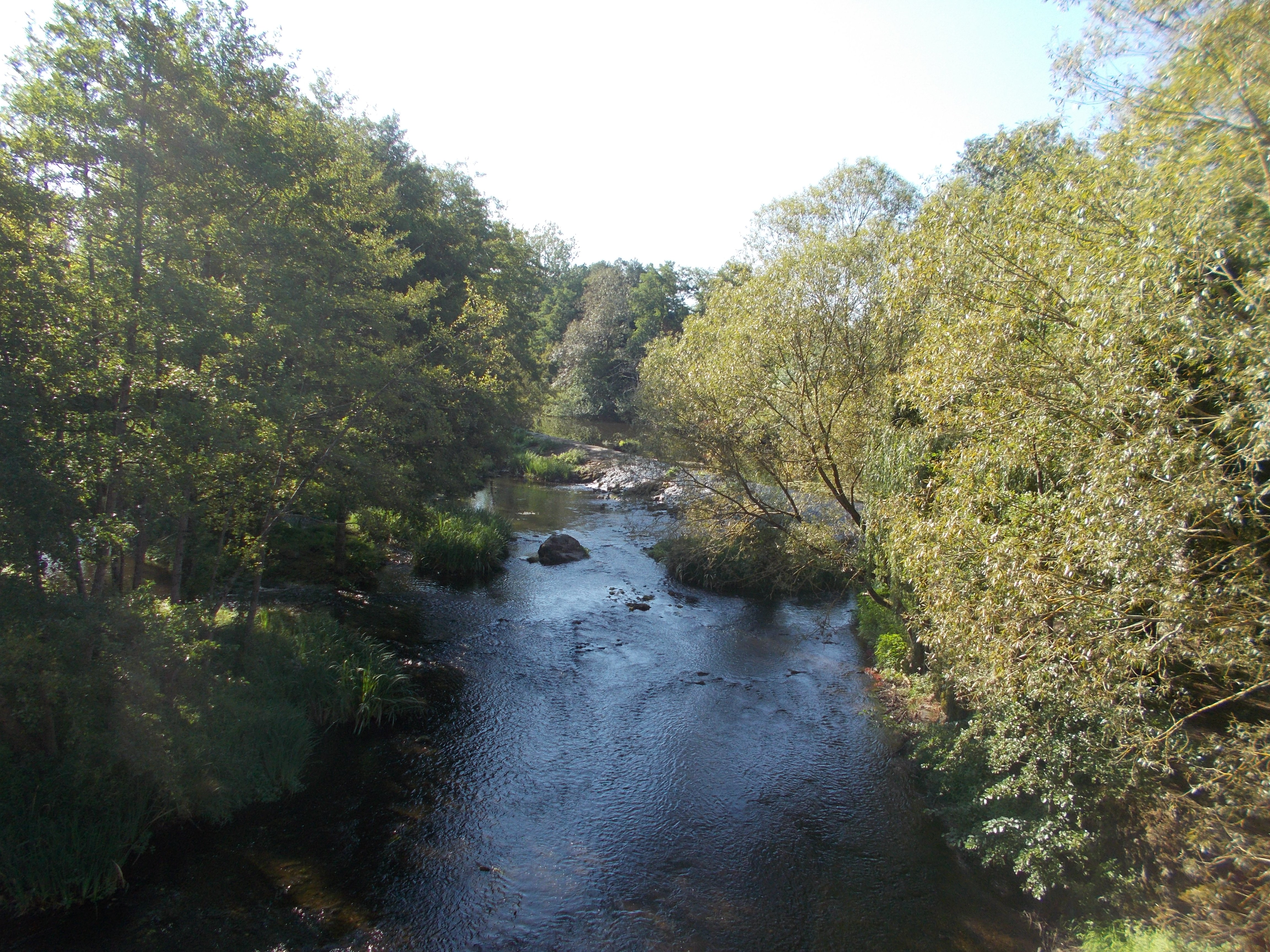 Prairie de Soulièvres, Airvault - photo 4