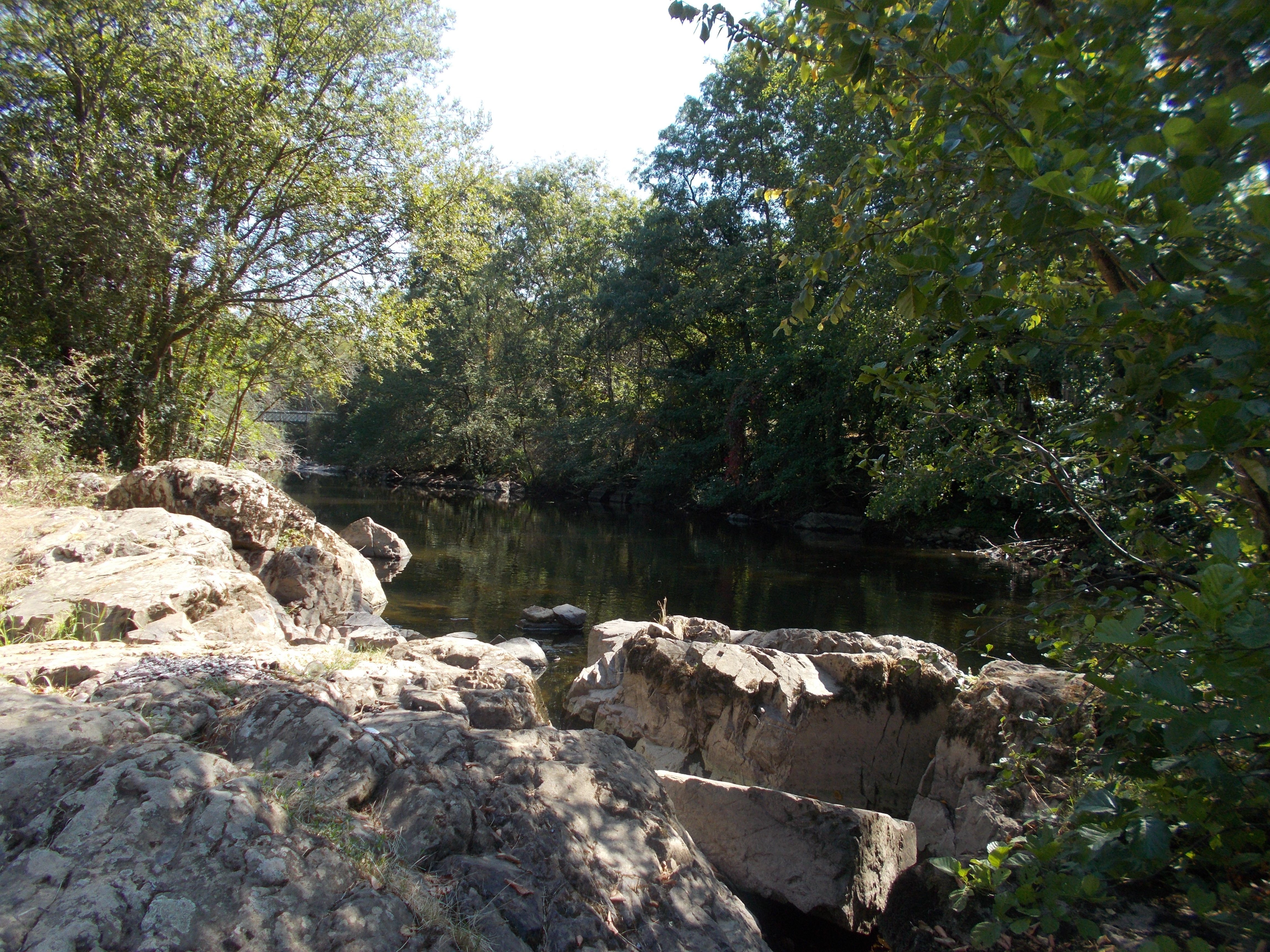 Prairie de Soulièvres, Airvault - photo 6