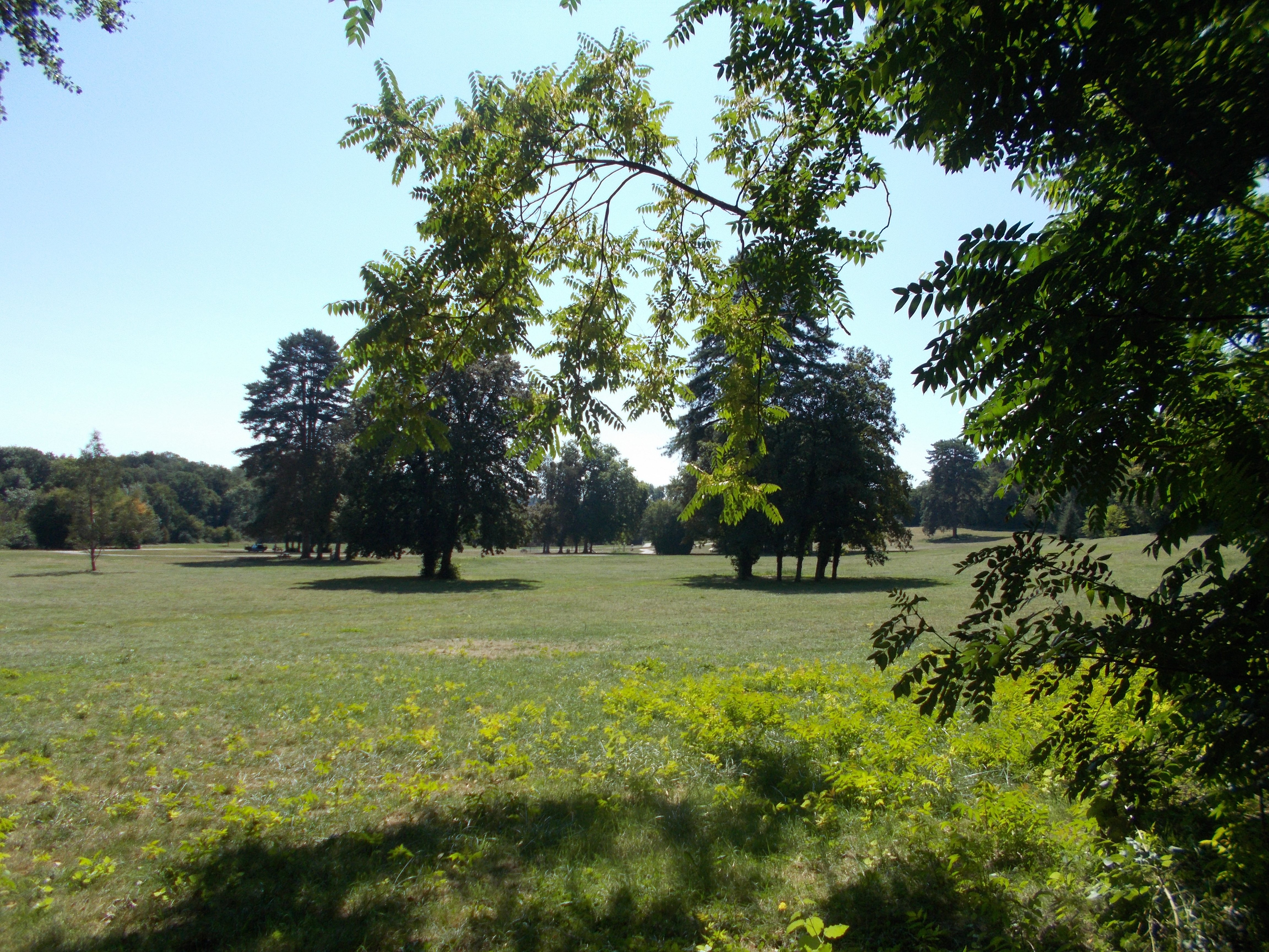 Prairie de Soulièvres, Airvault