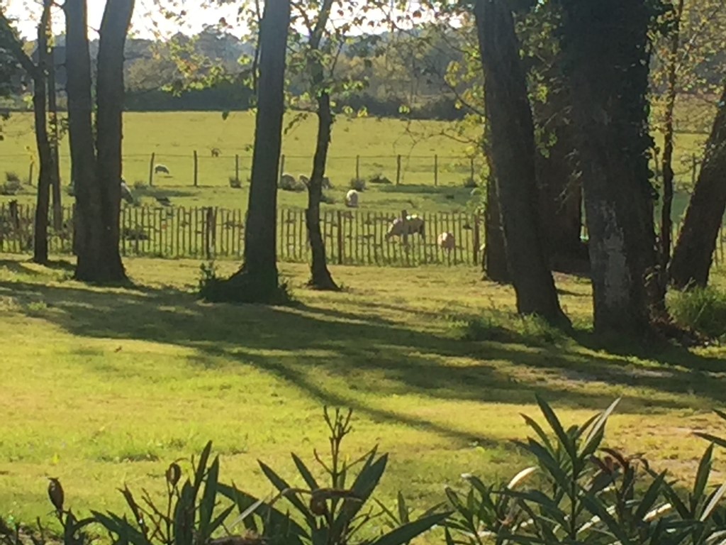 La Réserve - Maison Petit, Église-Neuve-d'Issac - photo 7