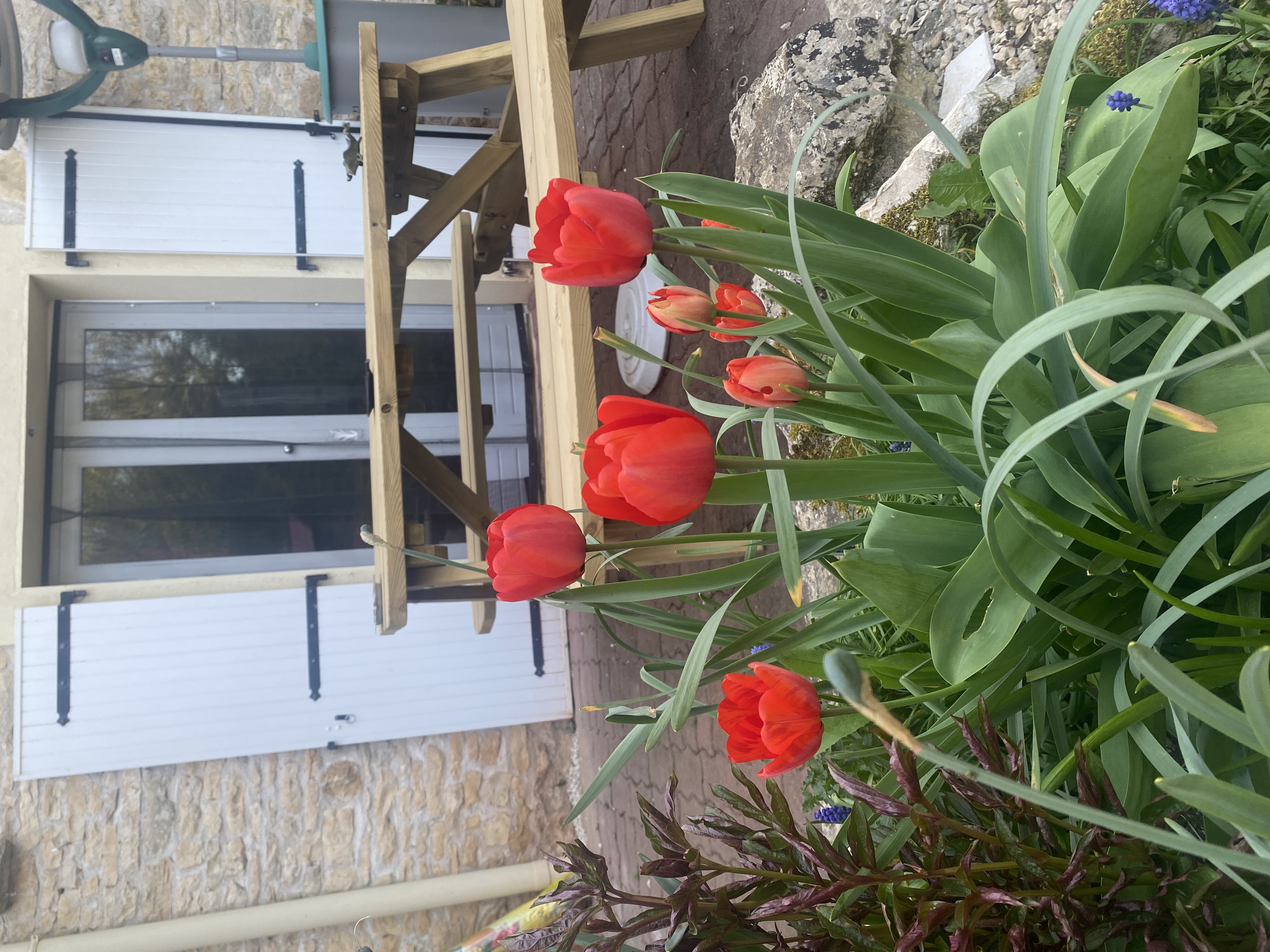 Le gîte de l'été, Rom - photo 4