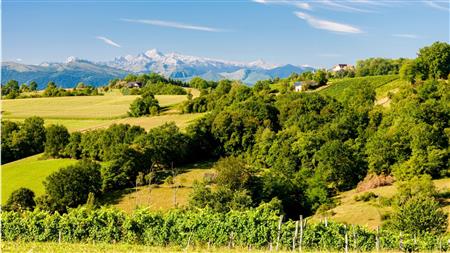 Evènement : Lacq-Orthez, terre de vin