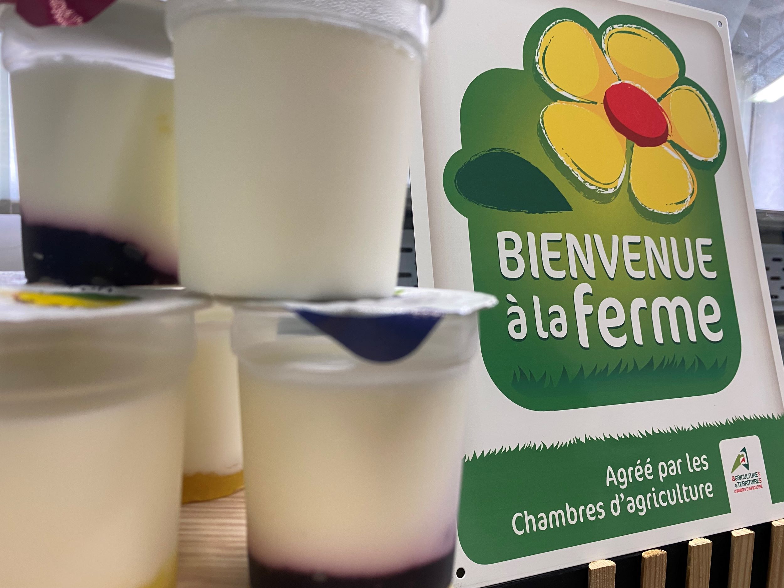 Terre de lait
