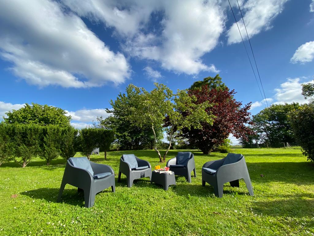 The Alpaca - photo 4