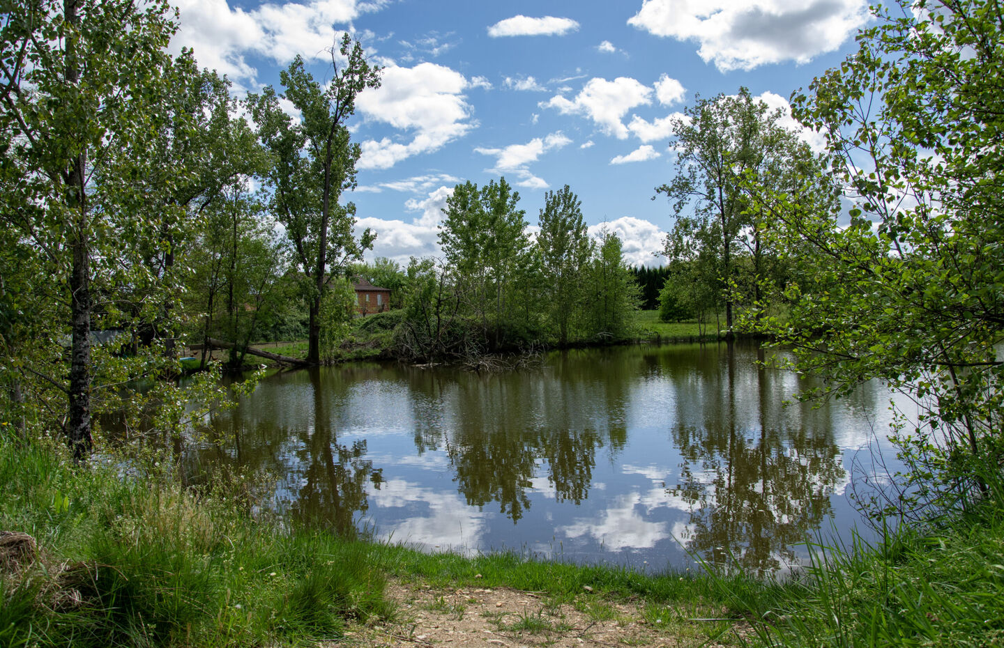 The Lake Beaumont, Beaupouyet - photo 10