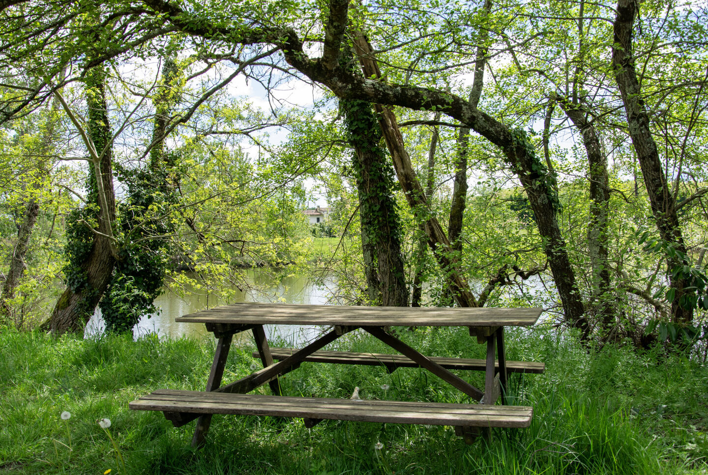 The Lake Beaumont, Beaupouyet - photo 9