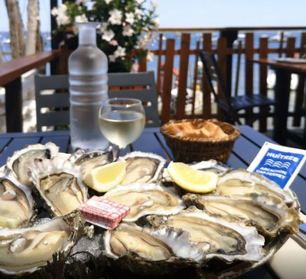 Ti Commerce - Famille Pascaud