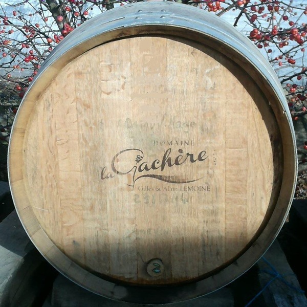Domaine de la Gachère - GAEC Lemoine - photo 3
