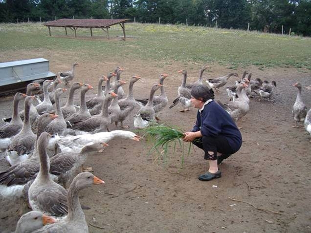 Le champ des échos - photo 2