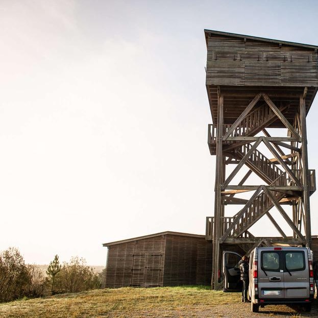 Clos du Carriou, Lesgor