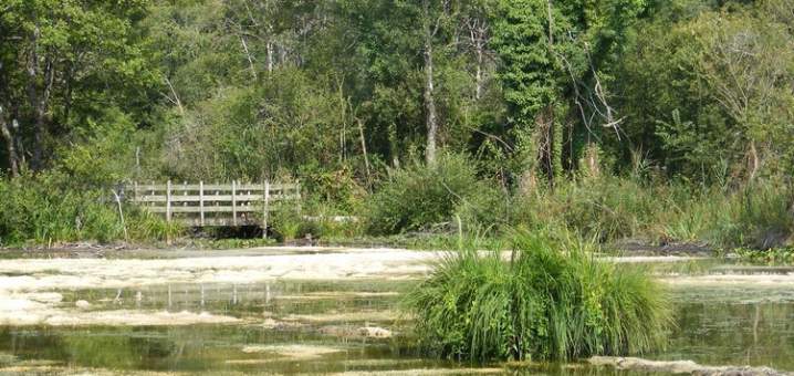 Boucle de Vendoire, Vendoire