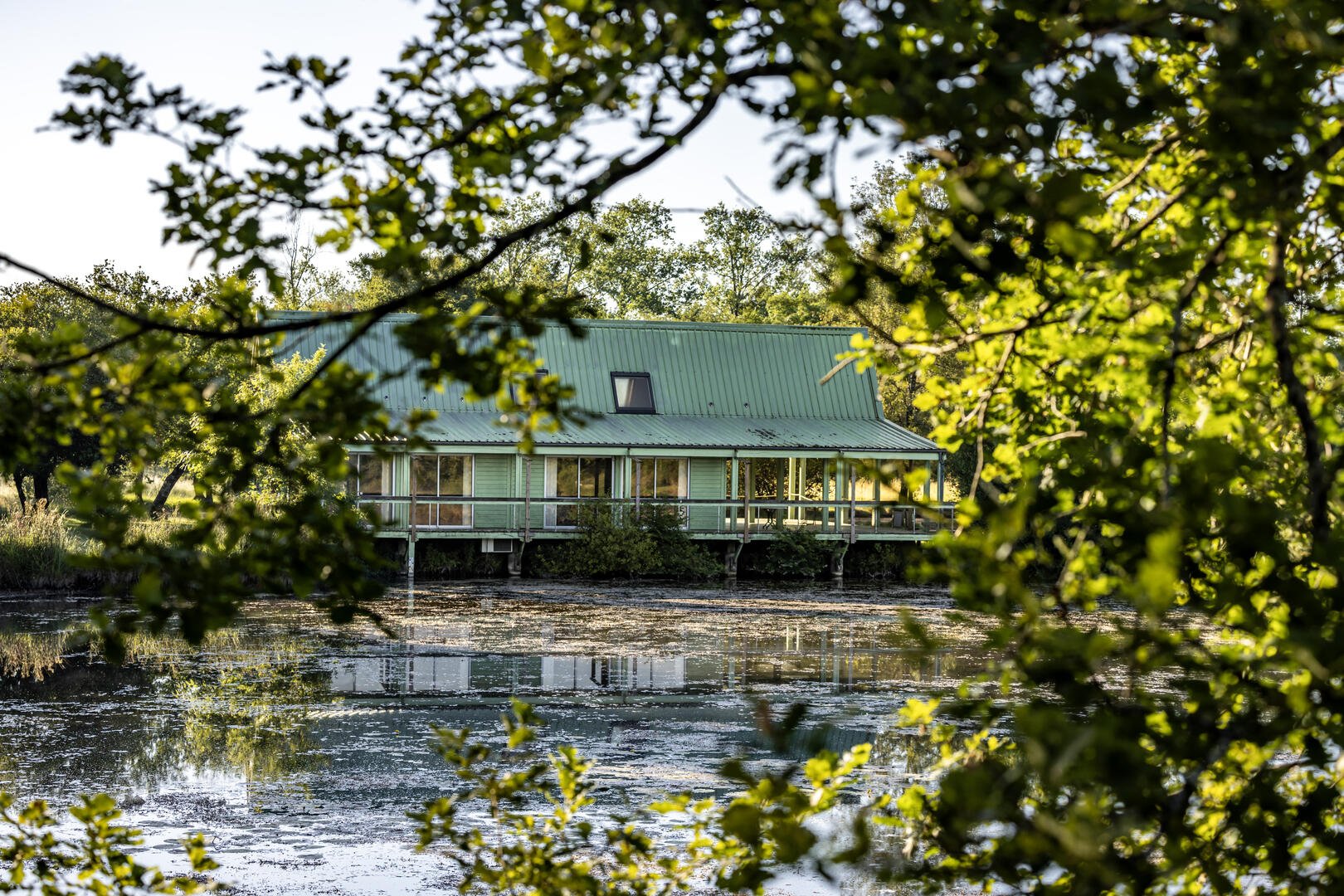 Site Naturel des Tourbières - photo 4