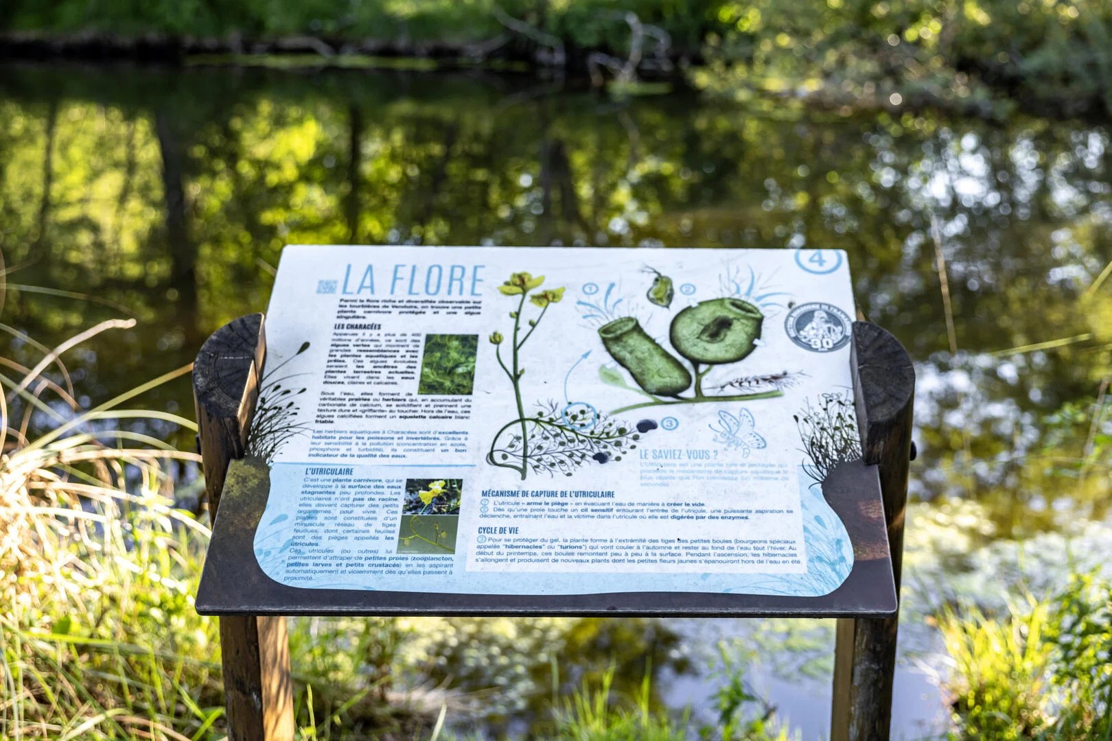 Site Naturel des Tourbières