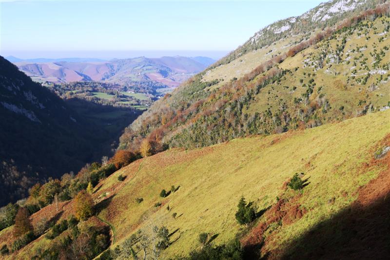 N°5 Fougeraies de Laünde