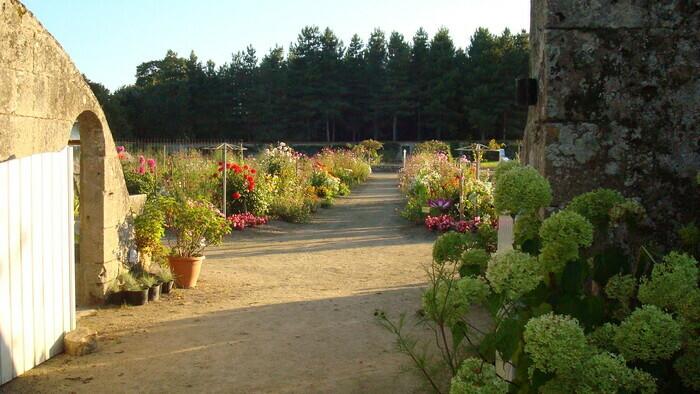 Rendez-vous aux Jardins - Parc et jardins du château de Tournelay — visuel événement