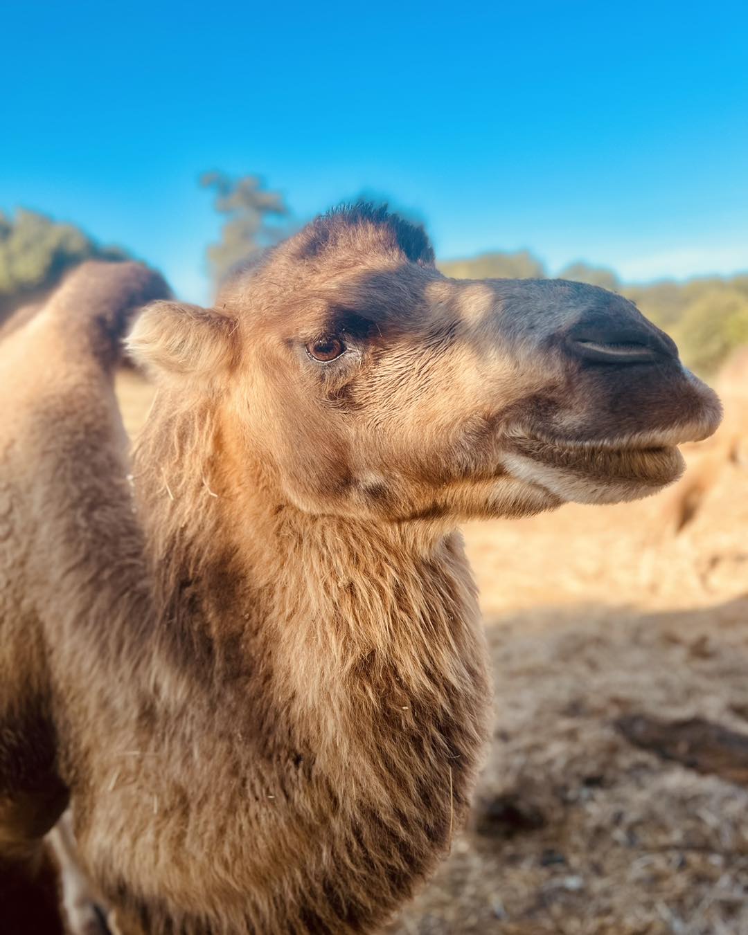 Parc du Touron, Campsegret - photo 2