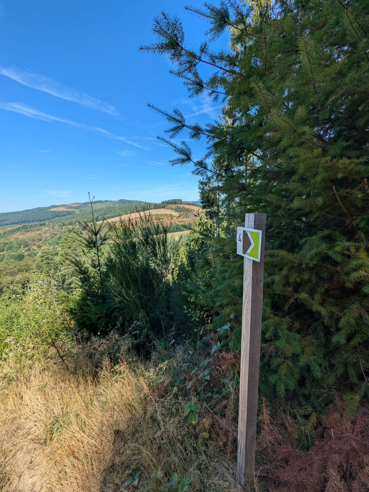 Trail de Veix : A l'assaut du Puy de la Monédière, Veix - photo 10