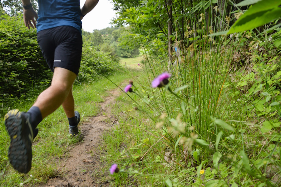 Parcours des daims n°1 - photo 2