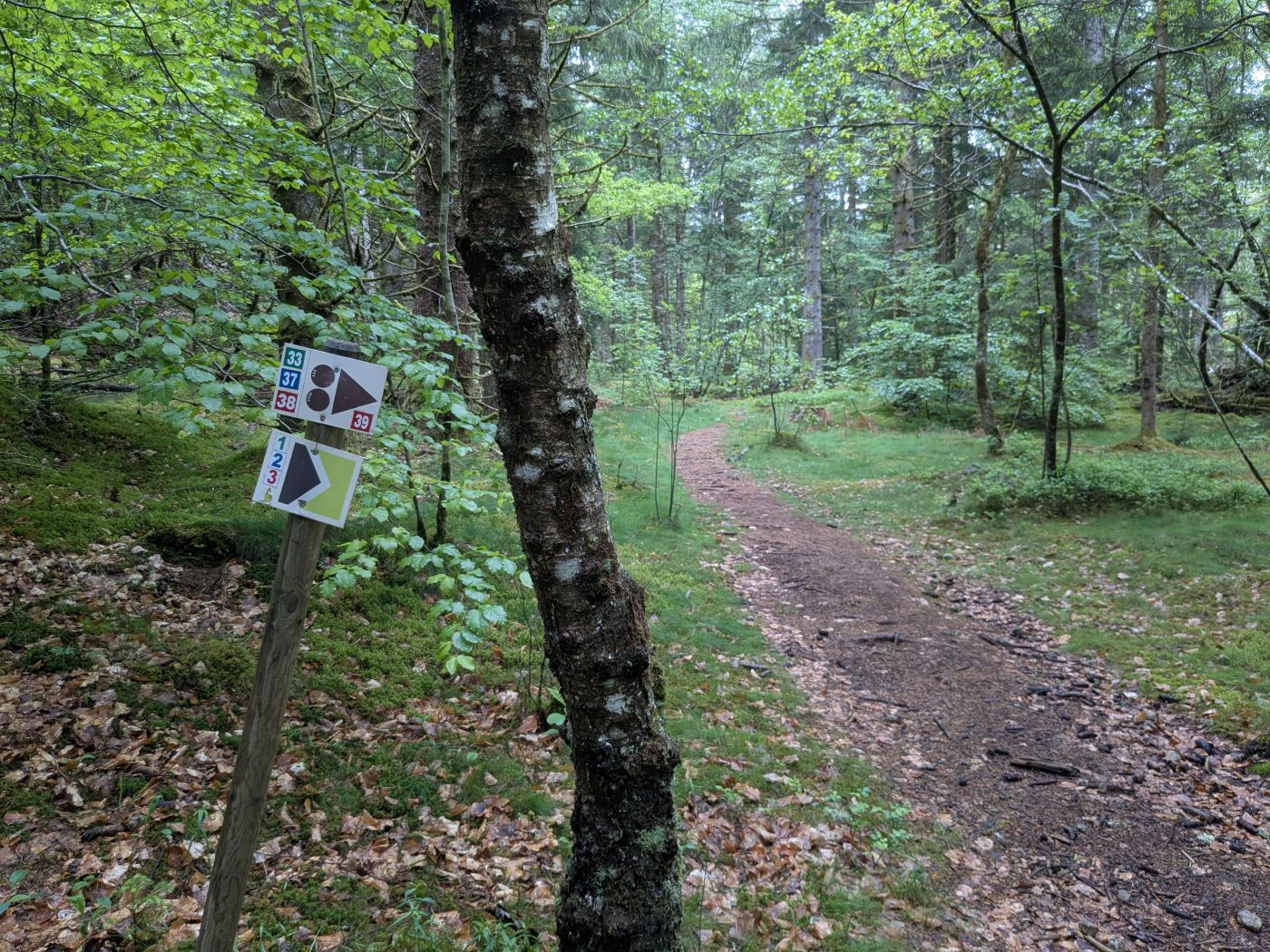 Trail de la Vézère, Bugeat - photo 9