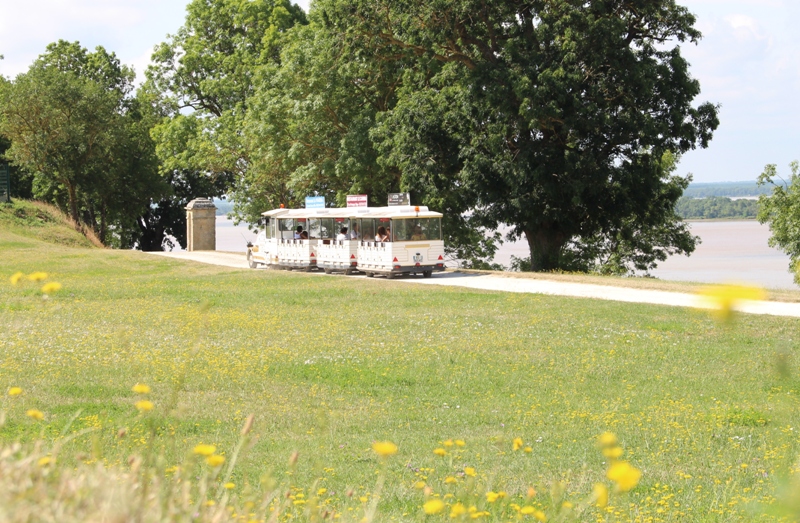 Visites commentées de Blaye et Plassac en petit train