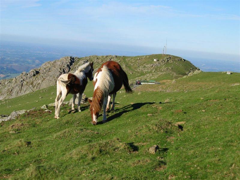 Petit Train du Site de Baigura