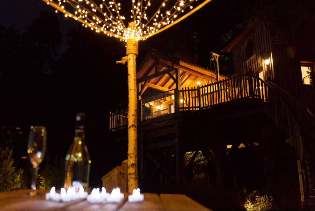 Castél de l'Arbre - Château de Memanat, Chavanat - photo 6