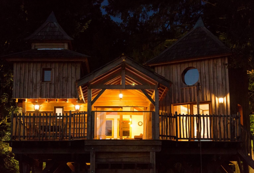 Castél de l'Arbre - Château de Memanat, Chavanat - photo 14