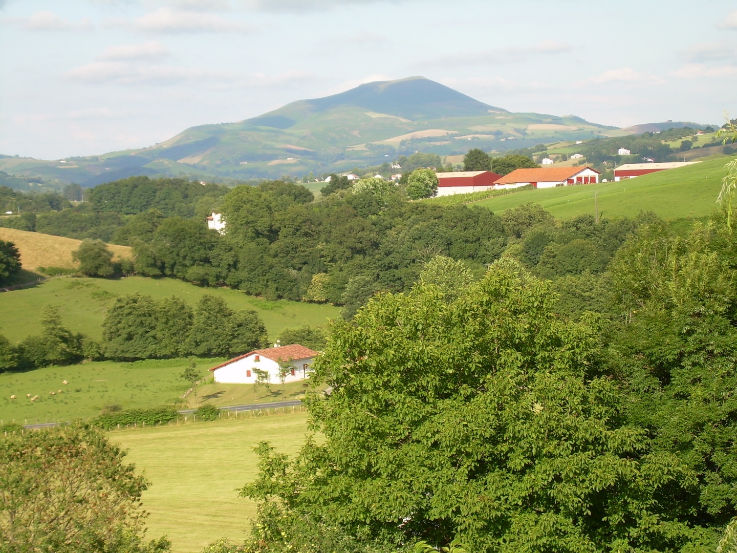 TROJAN Patricia - photo 2