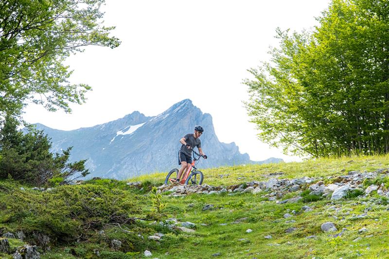 Location de trottinettes & Fat bike