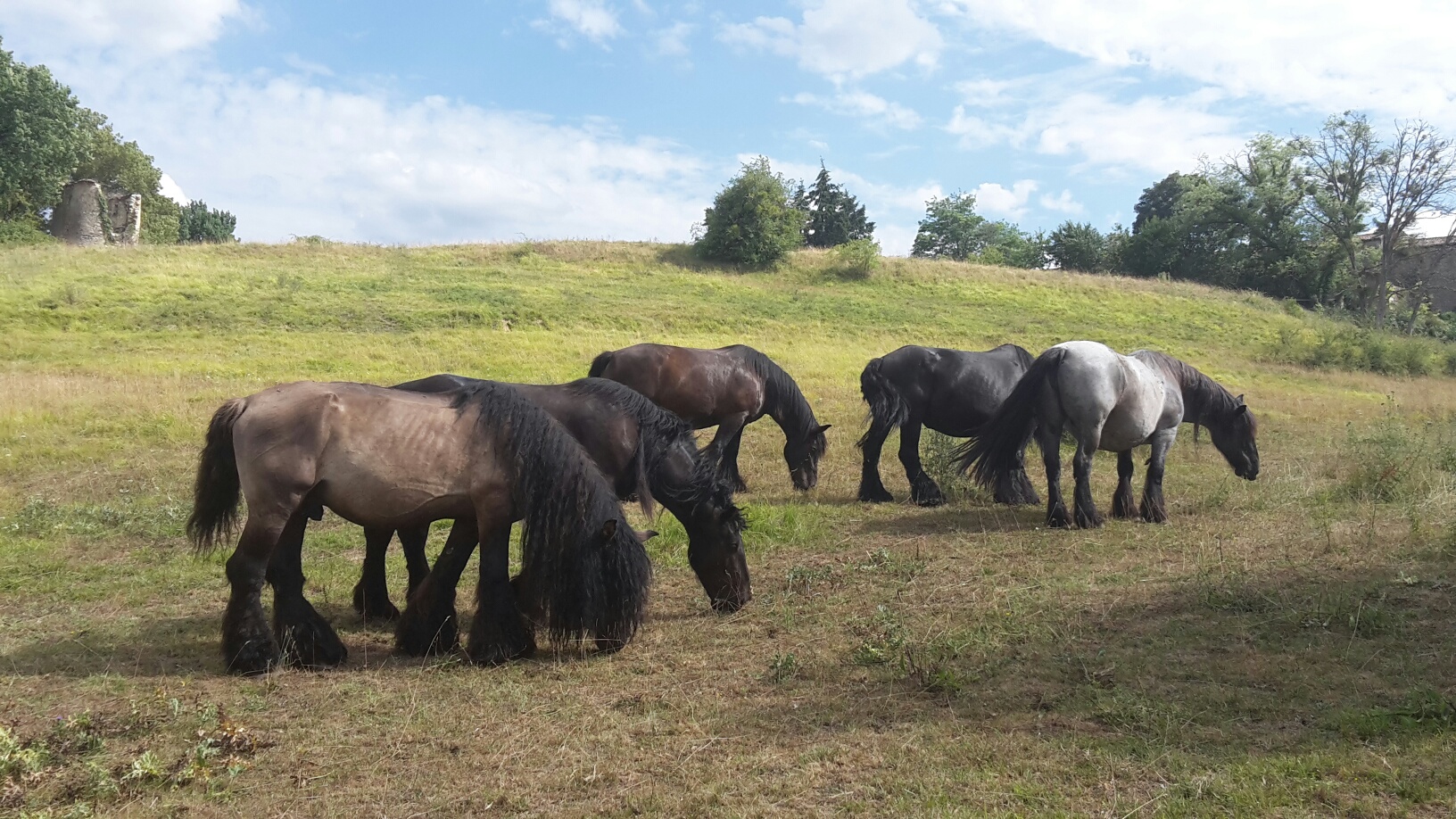 La Ferme des Mauberts - photo 3
