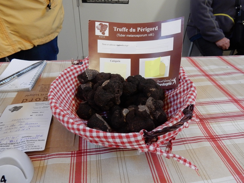 Marché contrôlé de producteurs locaux de truffes, Brantôme en Périgord - photo 2
